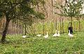MG Herfstwandeling (45)